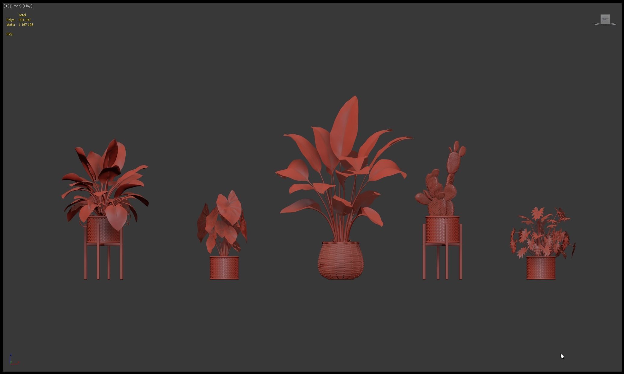 Plants collection 206 - alocasia strelitzia cactus  philodendron 3D model_15