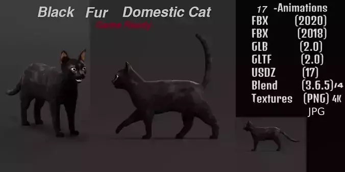 Black Domestic Cat Low-poly 3D model
