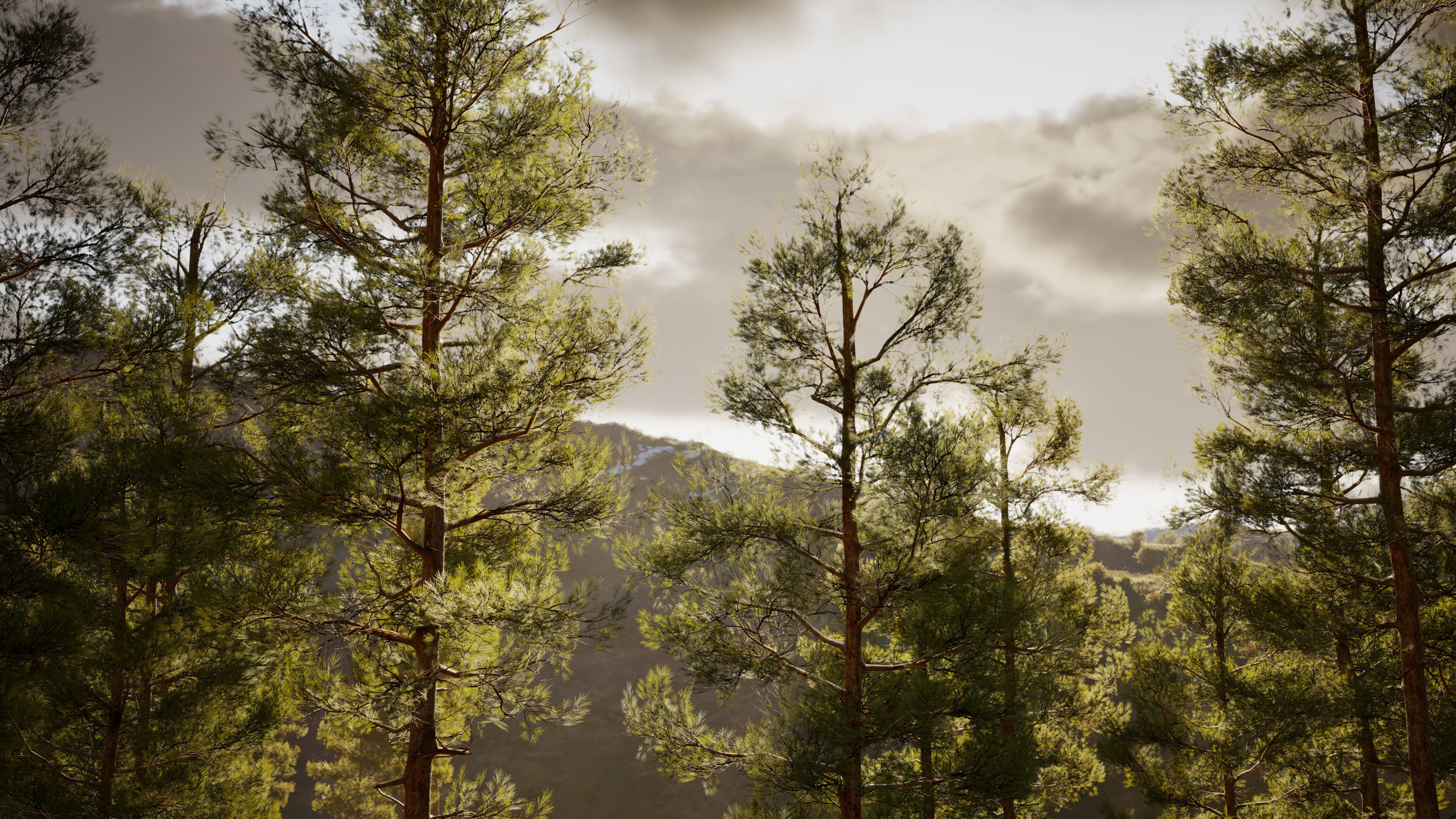 Pine Foliage Collection Game Ready - Low Poly Low-poly 3D model_6