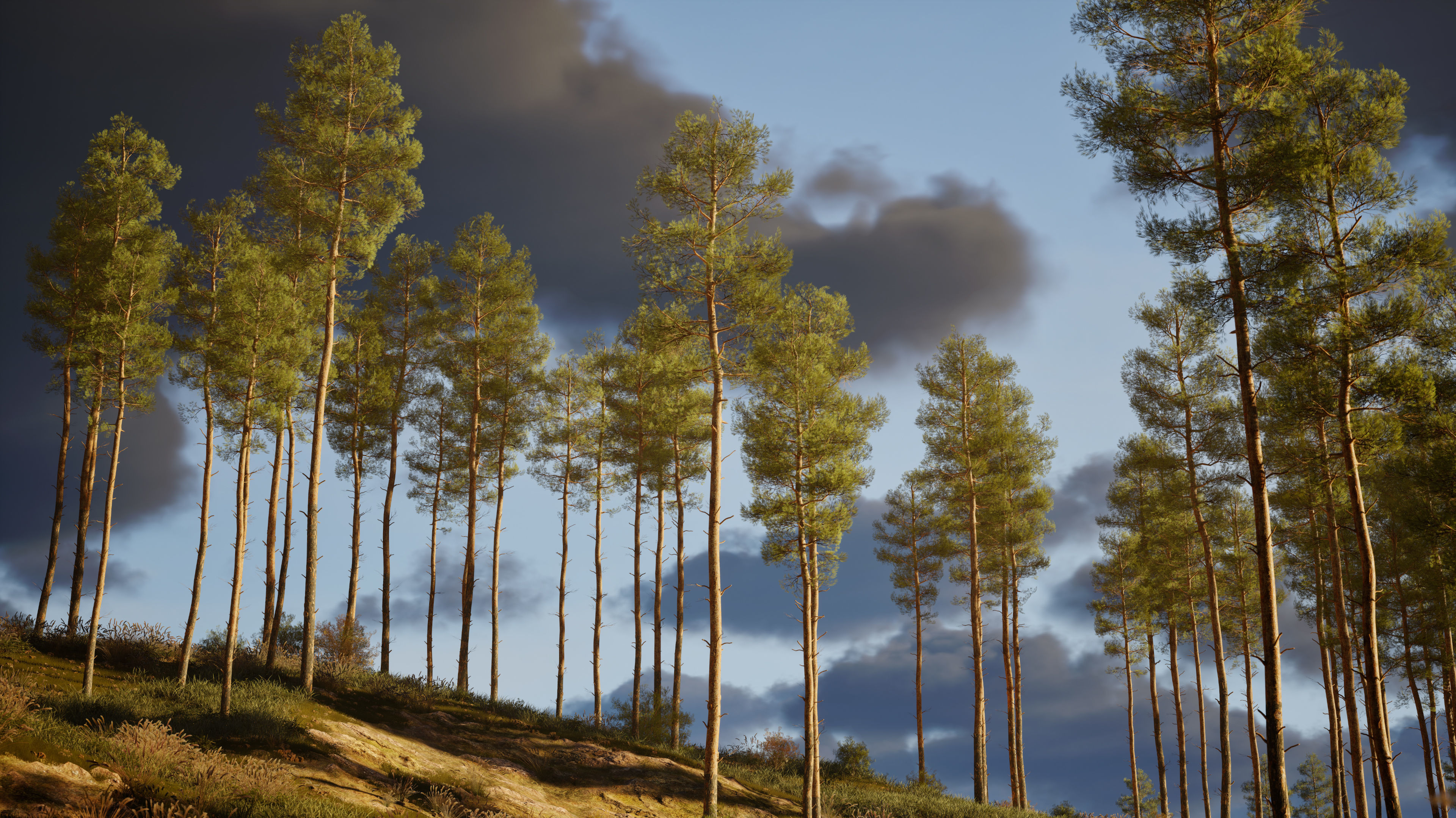 Pine Foliage Collection Game Ready - Low Poly Low-poly 3D model_5