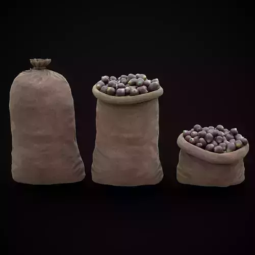 Burlap Sacks of Onions