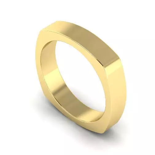 Ring N01962 3D print model_0