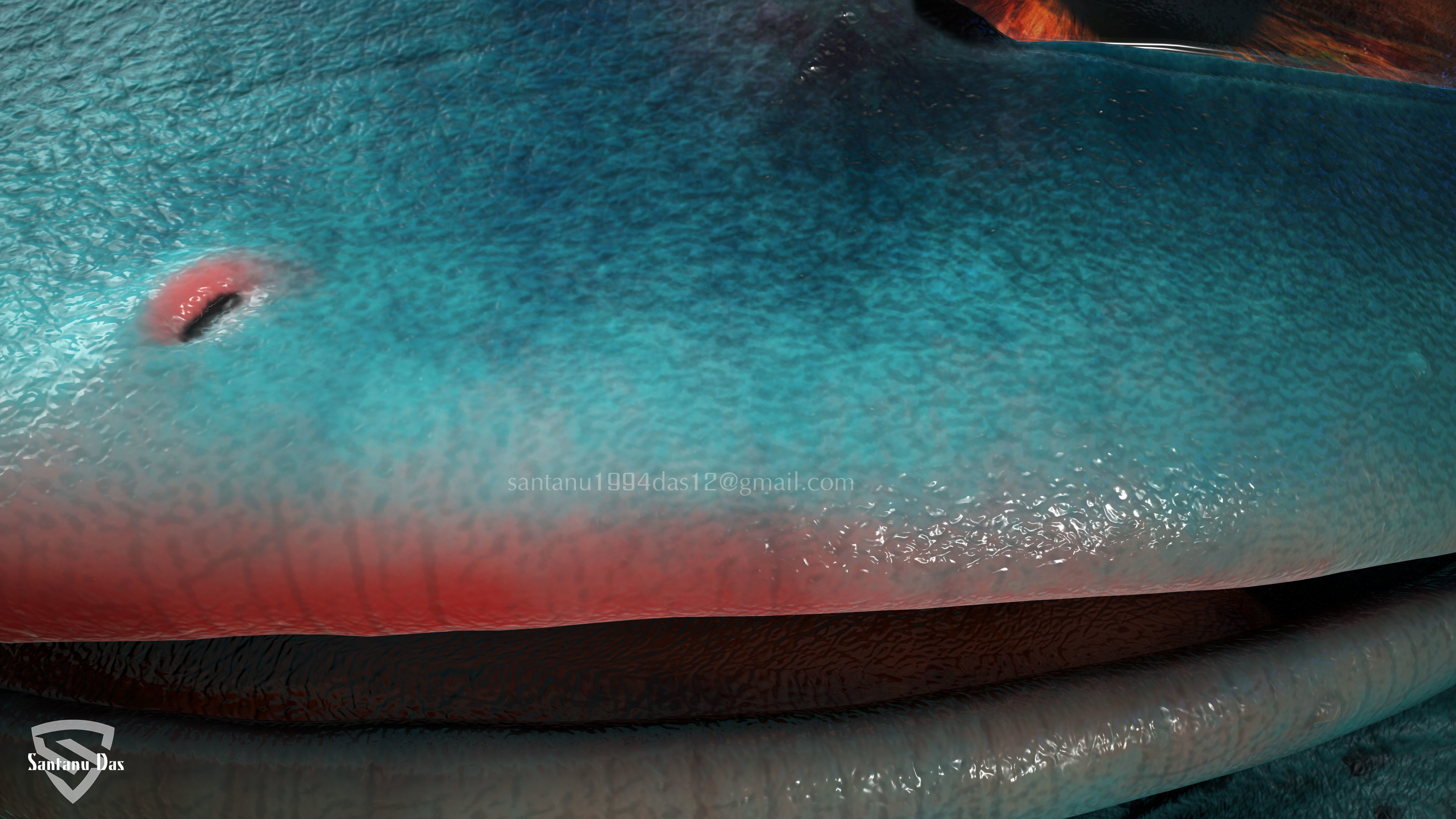 Bulbasaur Low-poly 3D model_8