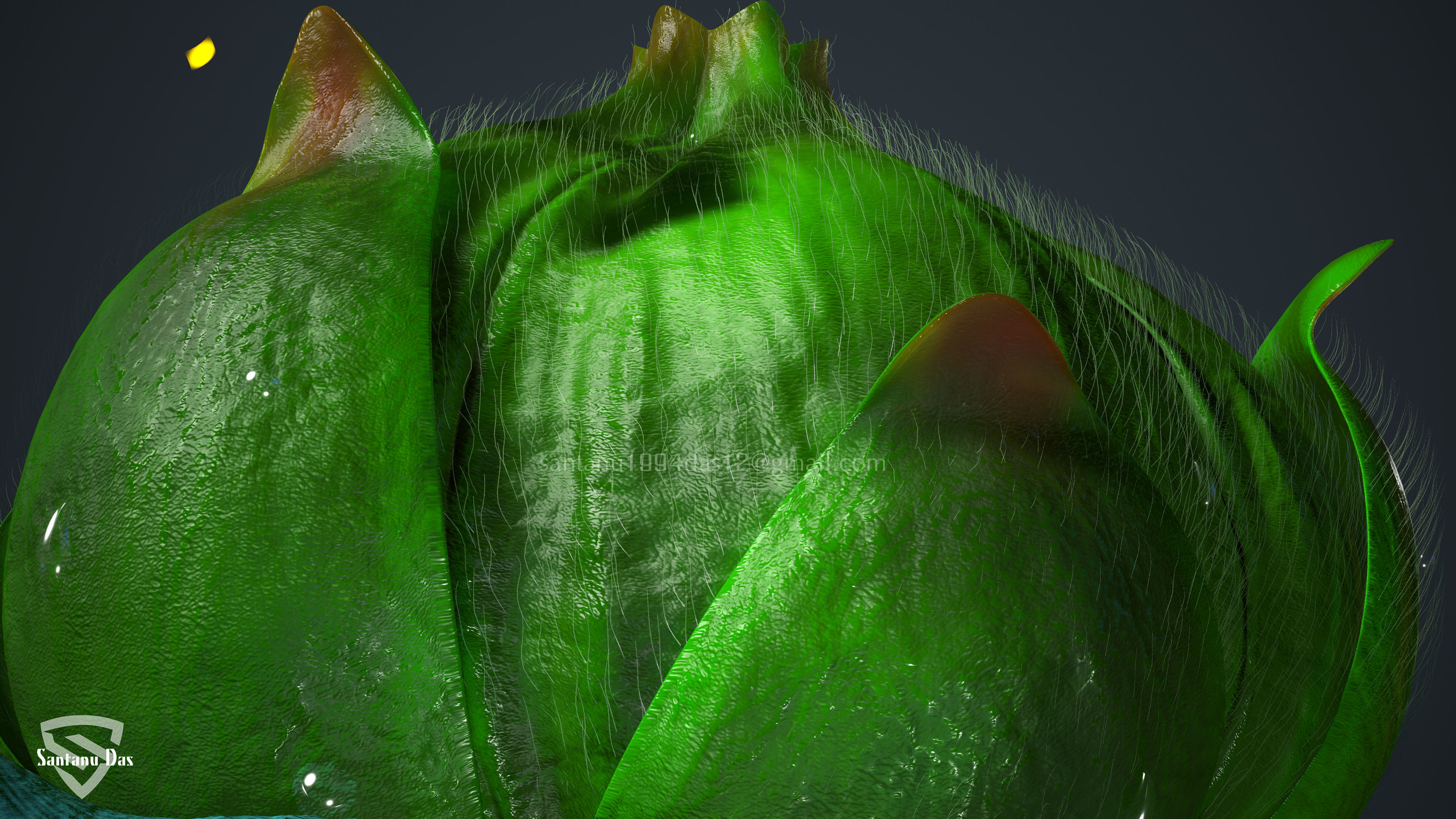 Bulbasaur Low-poly 3D model_17