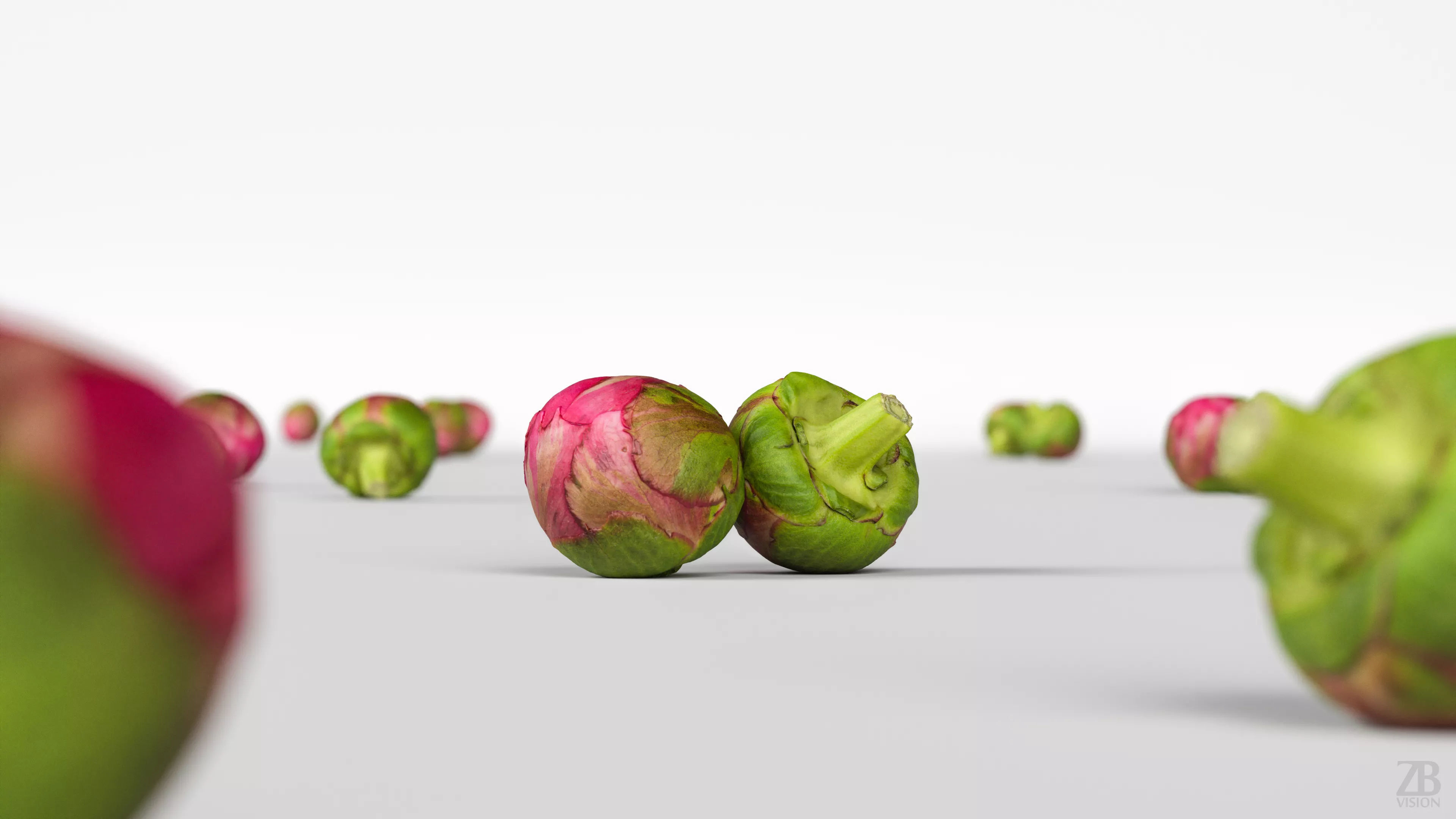 Peony 3D model_1