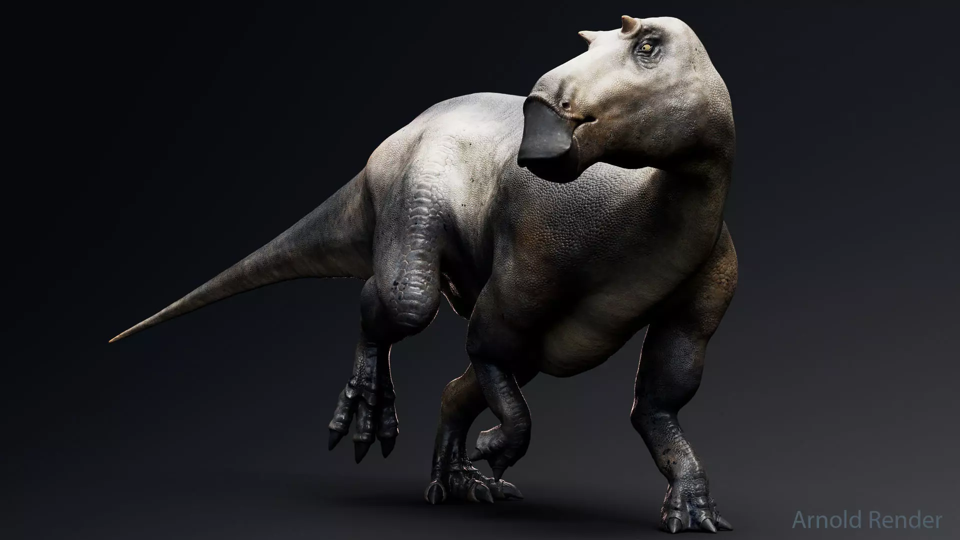 Dinosaur Maiasaura Unreal Engine Project Low-poly 3D model_0