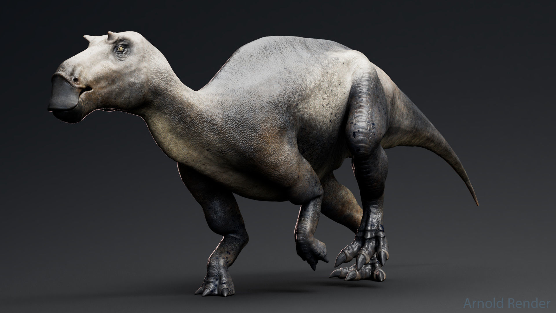 Dinosaur Maiasaura Unreal Engine Project Low-poly 3D model_2
