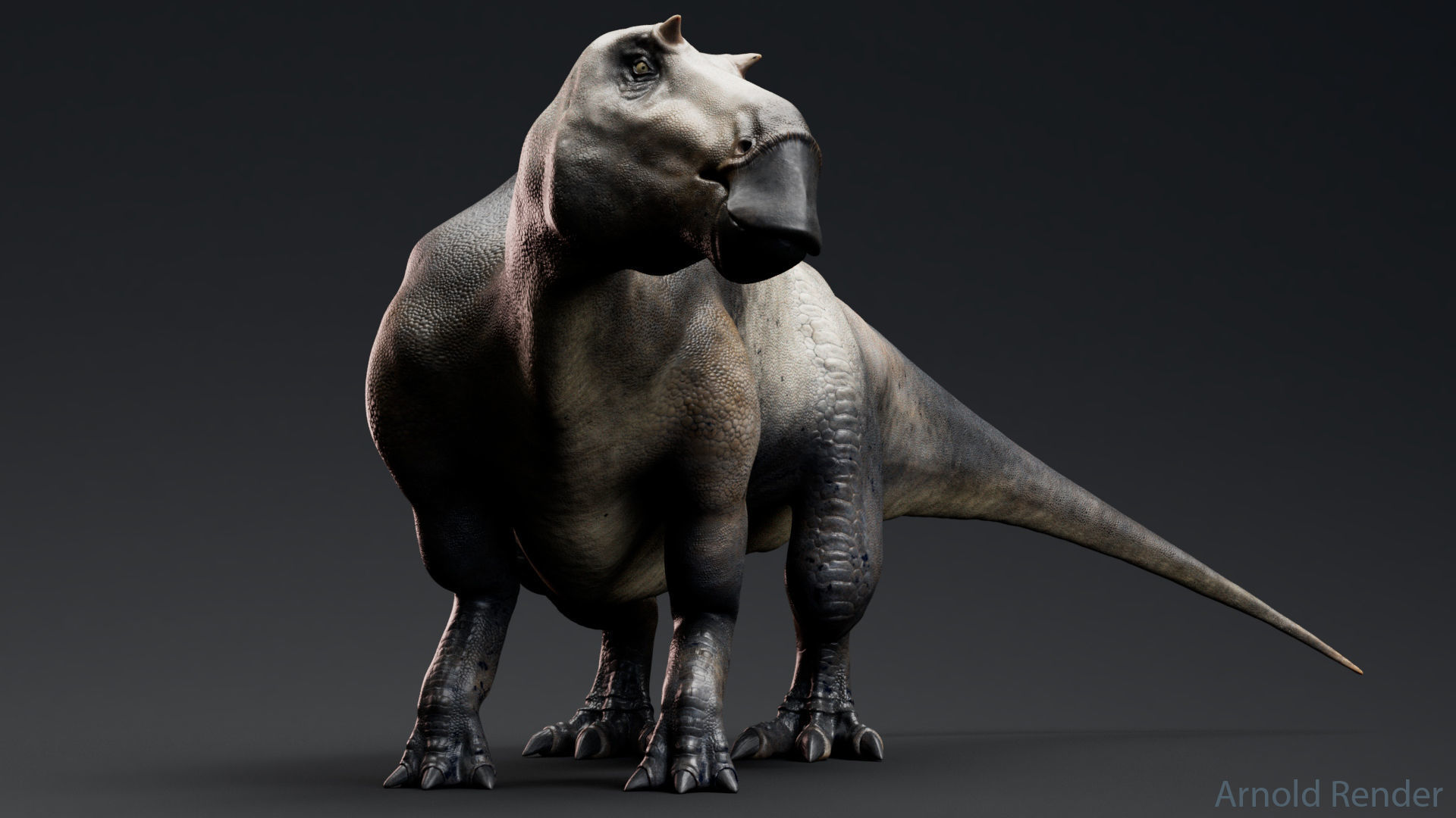 Dinosaur Maiasaura Unreal Engine Project Low-poly 3D model_4