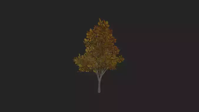 Tree 3D Model 006