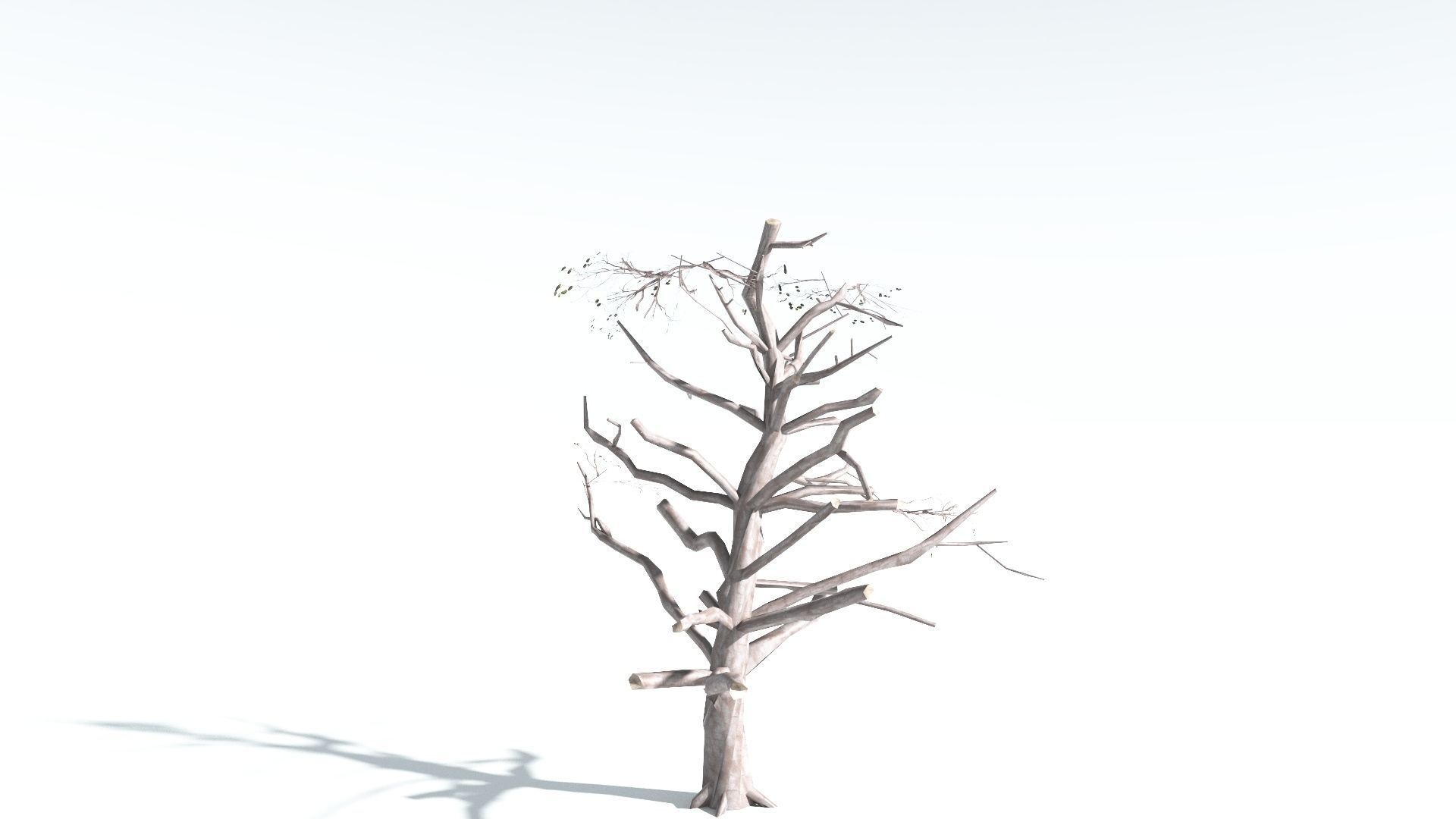 EVERYPlant Portia Tree LowPoly 2 --14 Models-- Low-poly 3D model_17