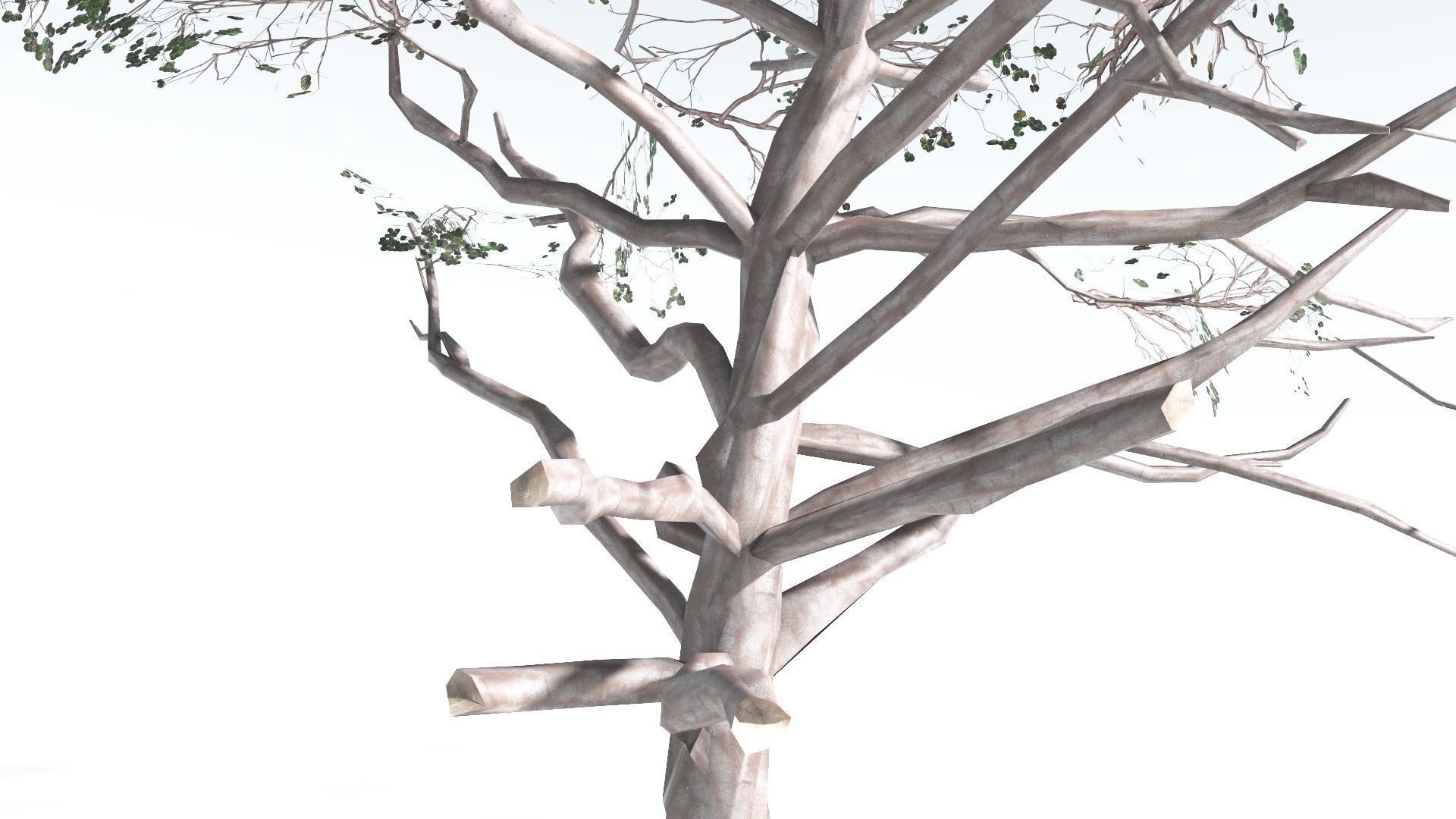 EVERYPlant Portia Tree LowPoly 2 --14 Models-- Low-poly 3D model_16