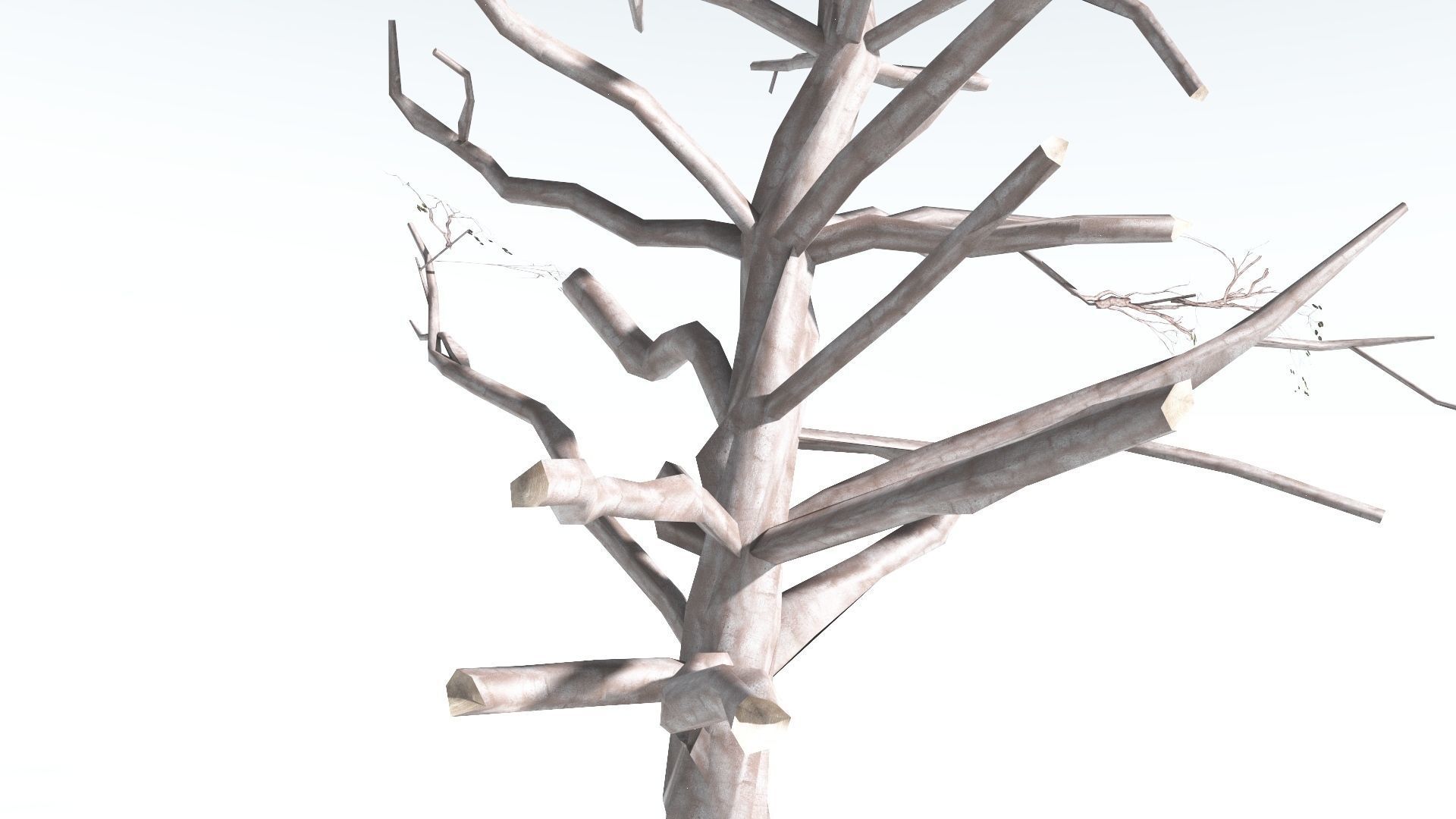 EVERYPlant Portia Tree LowPoly 2 --14 Models-- Low-poly 3D model_18