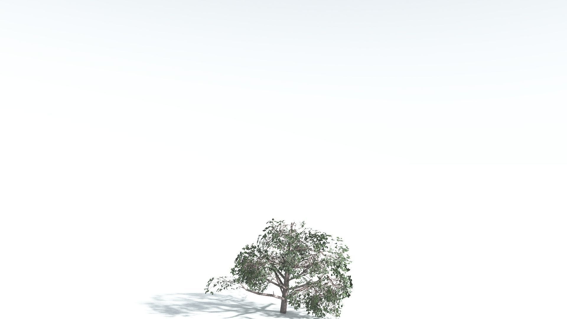EVERYPlant Portia Tree LowPoly 2 --14 Models-- Low-poly 3D model_25