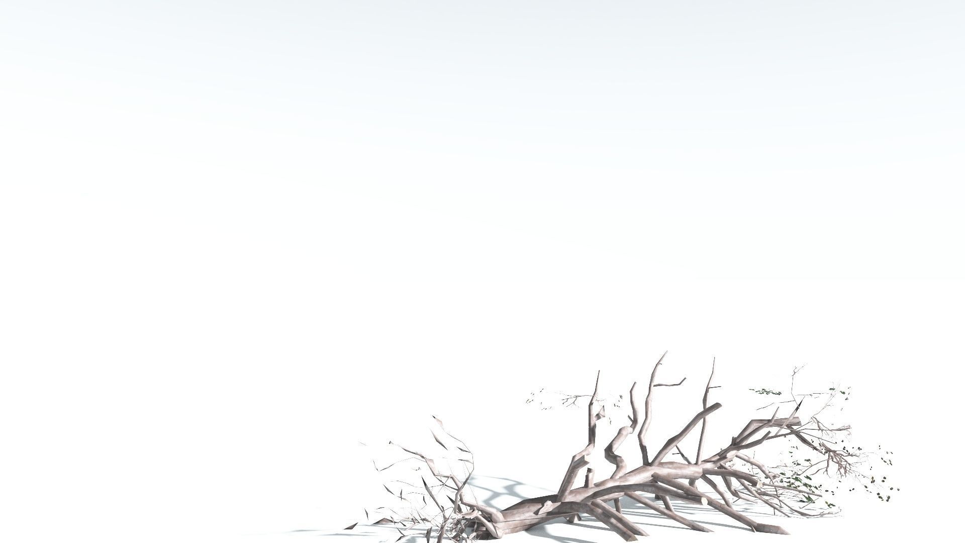 EVERYPlant Portia Tree LowPoly 2 --14 Models-- Low-poly 3D model_19