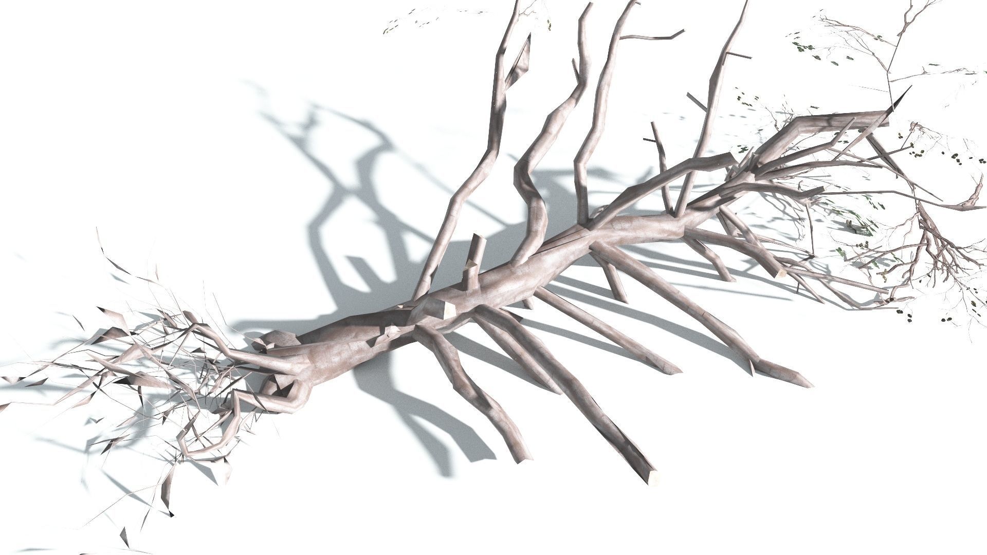 EVERYPlant Portia Tree LowPoly 2 --14 Models-- Low-poly 3D model_20