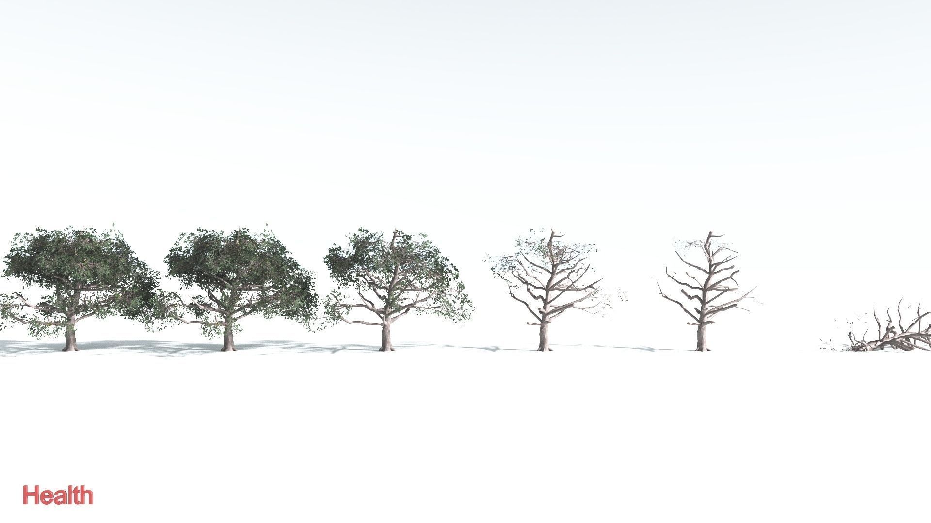 EVERYPlant Portia Tree LowPoly 2 --14 Models-- Low-poly 3D model_2