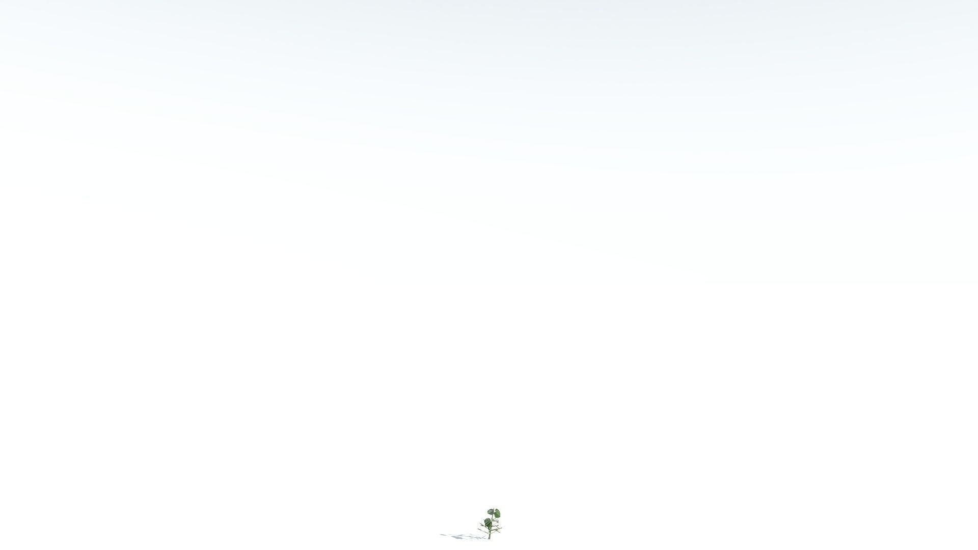 EVERYPlant Portia Tree LowPoly 2 --14 Models-- Low-poly 3D model_27