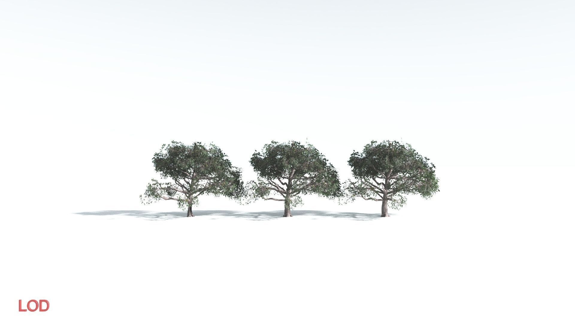 EVERYPlant Portia Tree LowPoly 2 --14 Models-- Low-poly 3D model_4