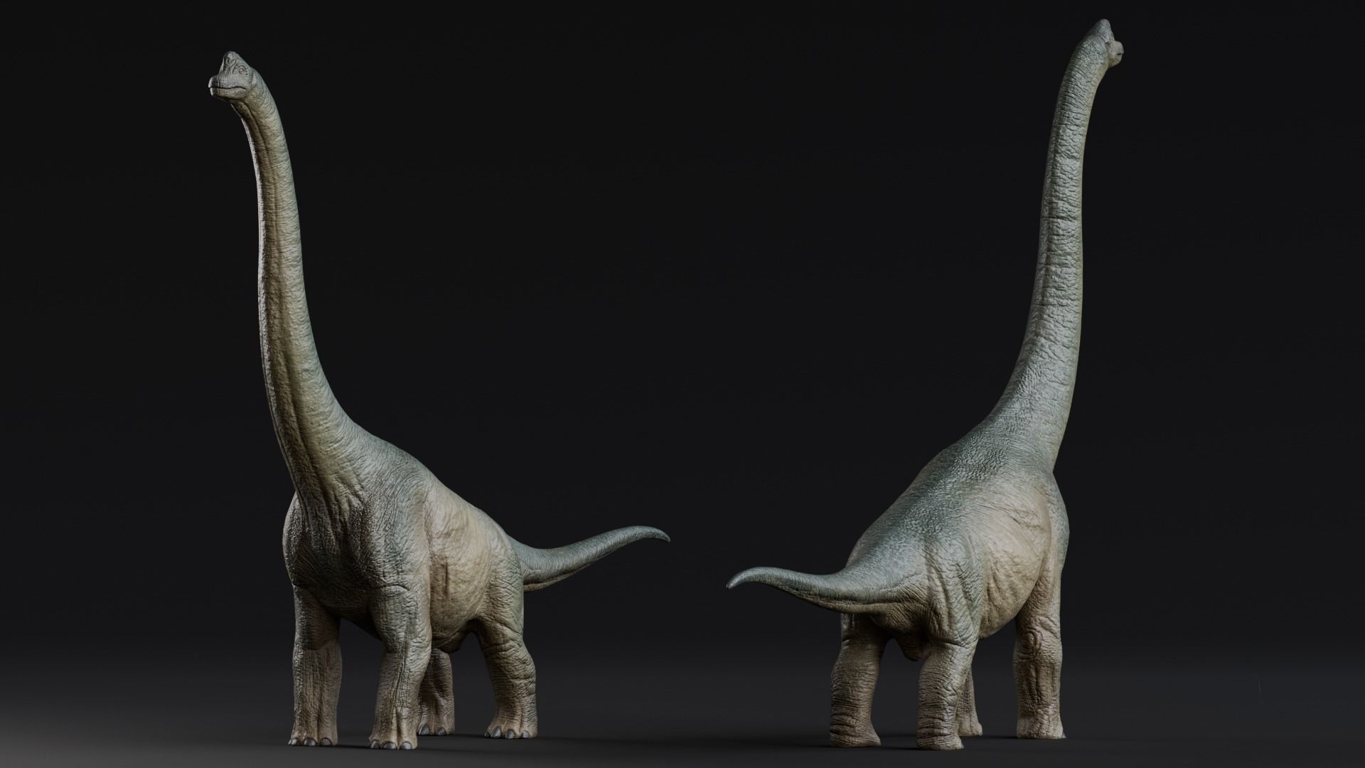 Low poly Realistic Dinosaur - Brachiosaurus Low-poly 3D model_2