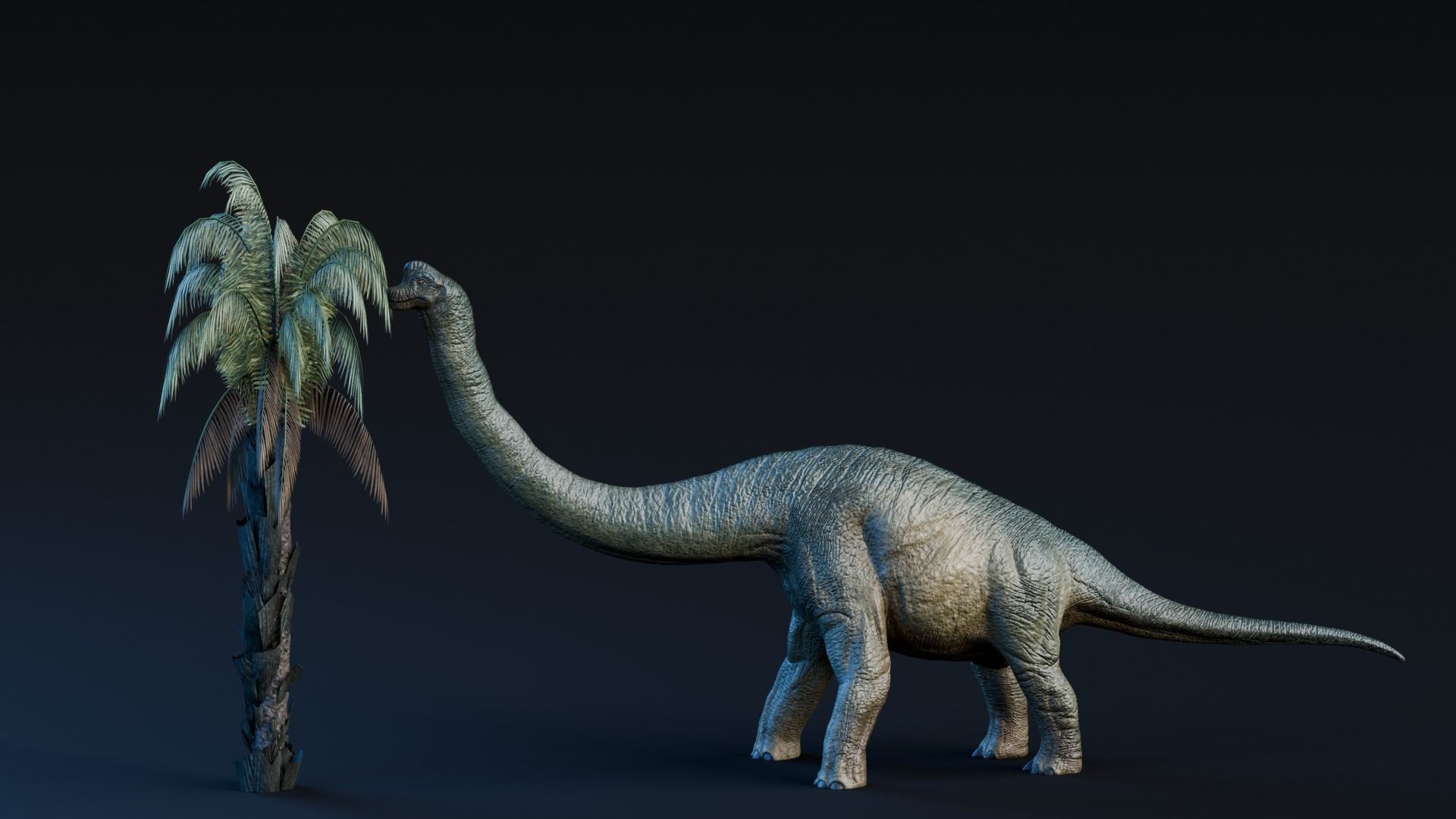 Low poly Realistic Dinosaur - Brachiosaurus Low-poly 3D model_7