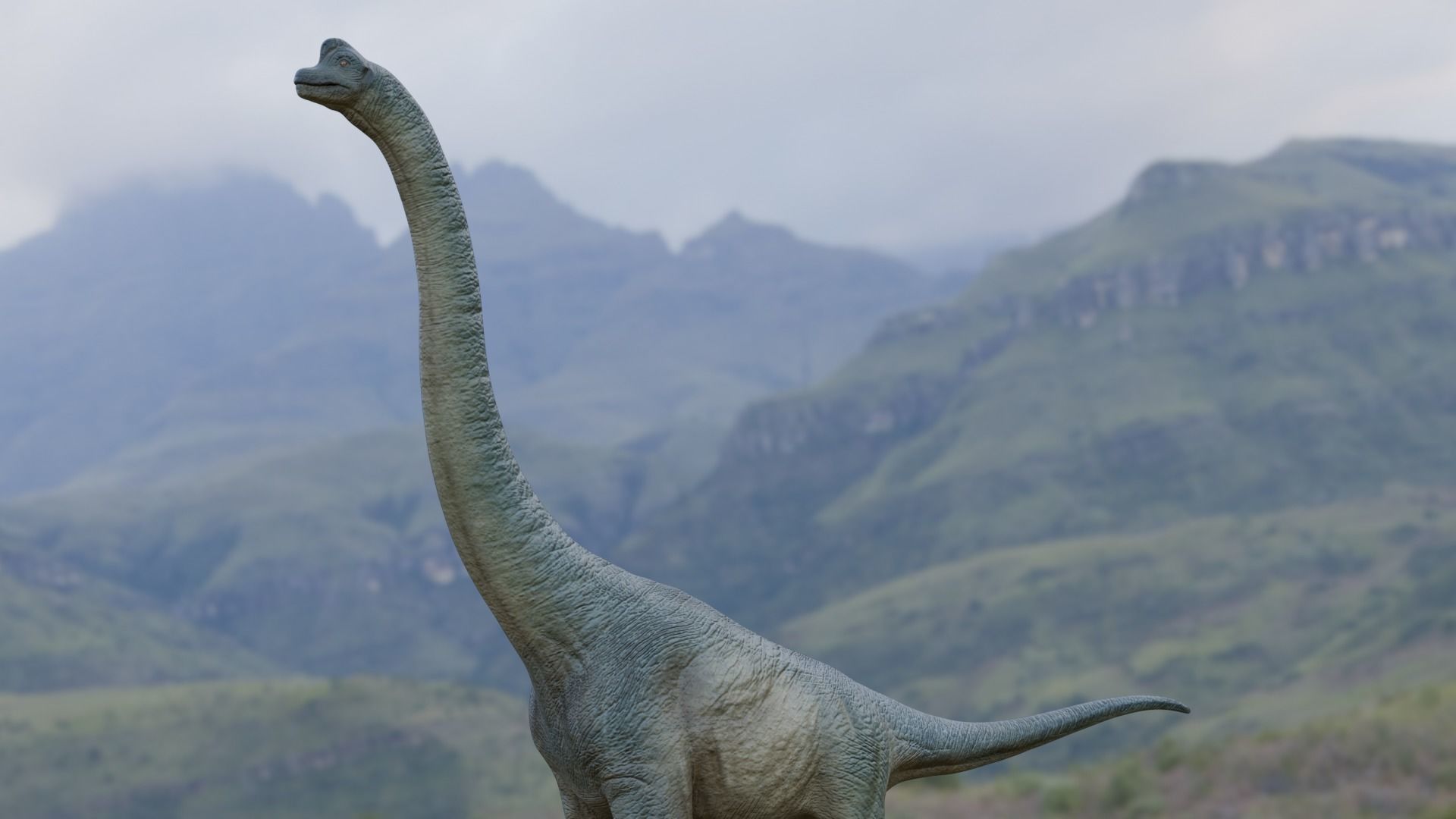 Low poly Realistic Dinosaur - Brachiosaurus Low-poly 3D model_3