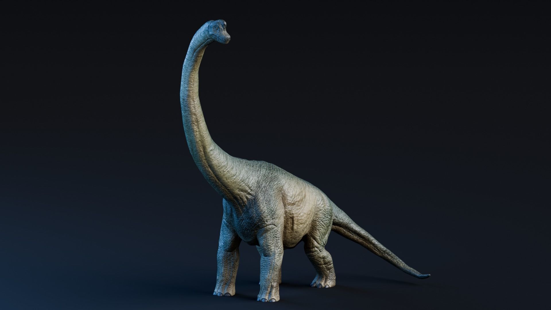 Low poly Realistic Dinosaur - Brachiosaurus Low-poly 3D model_4