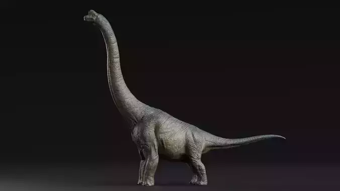 Low poly Realistic Dinosaur - Brachiosaurus Low-poly 3D model