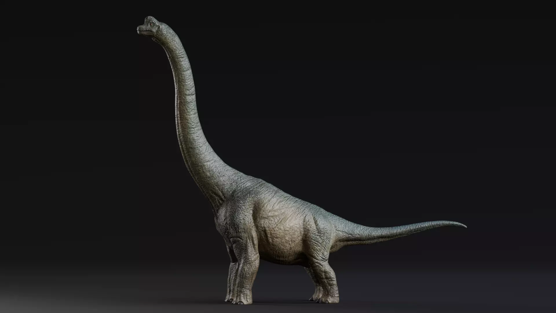 Low poly Realistic Dinosaur - Brachiosaurus Low-poly 3D model_0