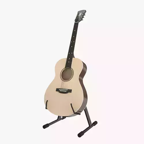 Acoustic Guitar
