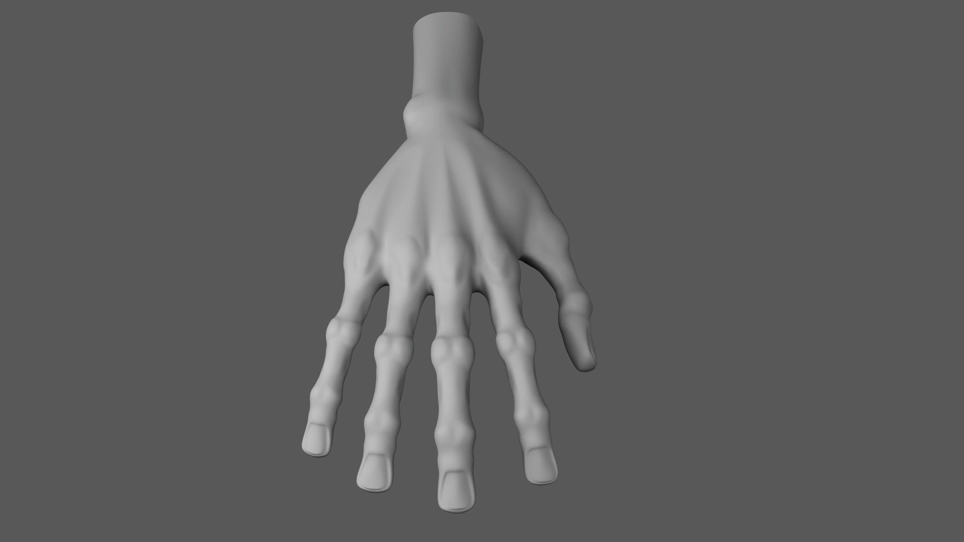 Cartoon stylized detailed hand 3D model Low-poly 3D model_2