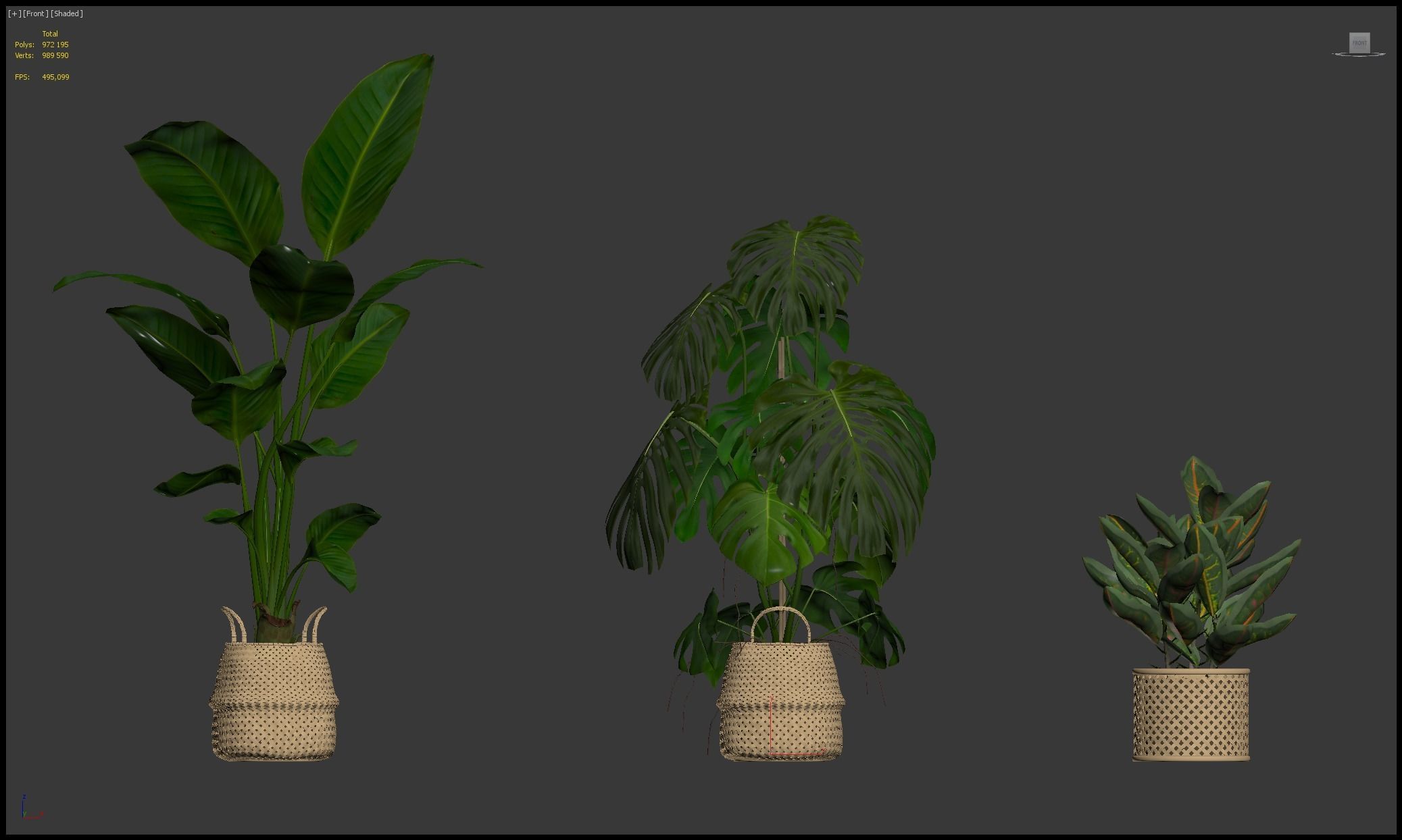 Plants collection 209 - monstera lyrata ficus strelitzia 3D model_26