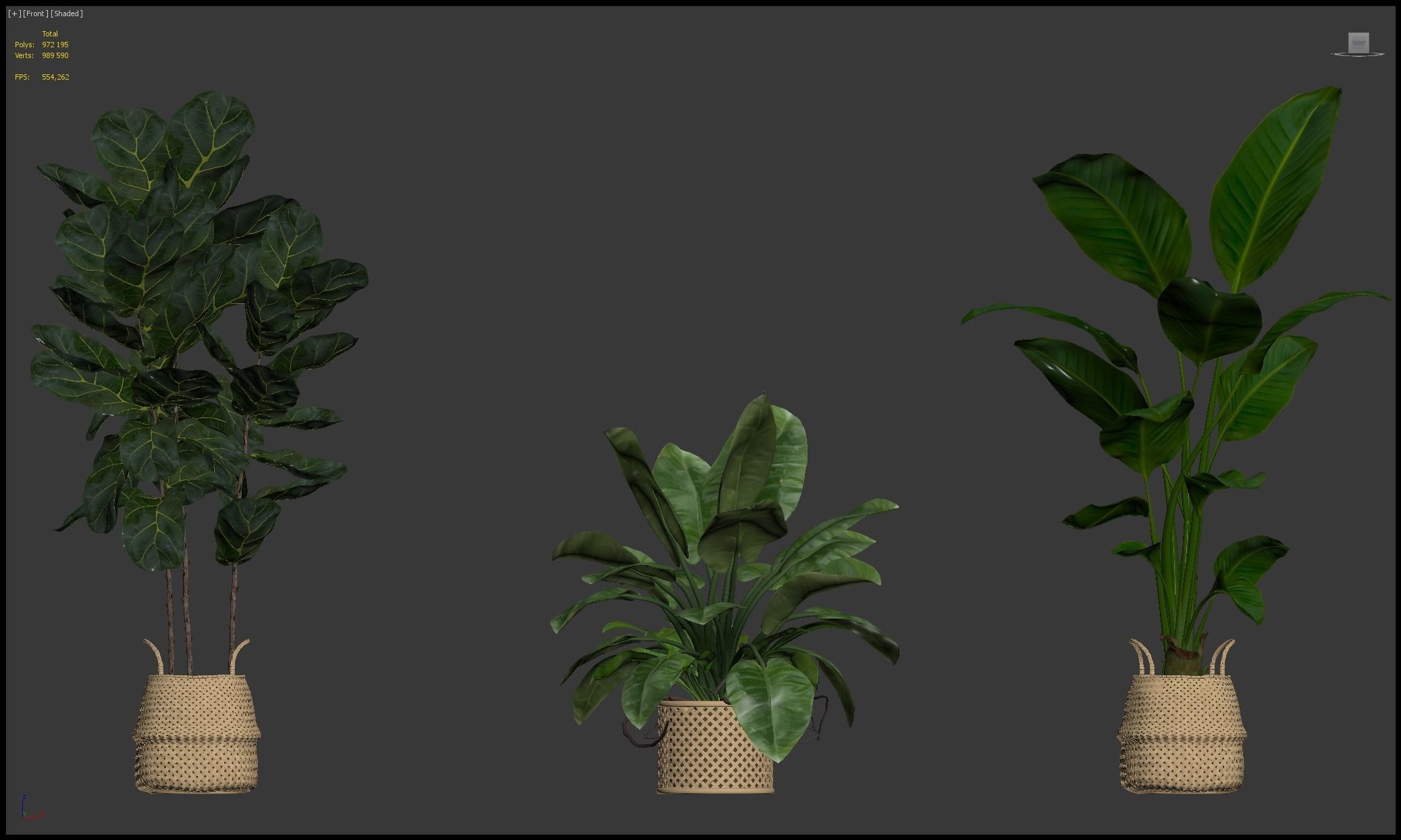 Plants collection 209 - monstera lyrata ficus strelitzia 3D model_28