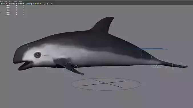 dolphin animal porpoise cetaceans whale marine dauphin 3D model
