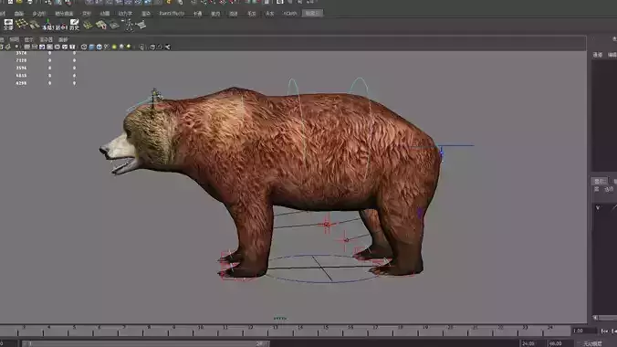 mammal wildlife zoo animal nature danger bear male short 