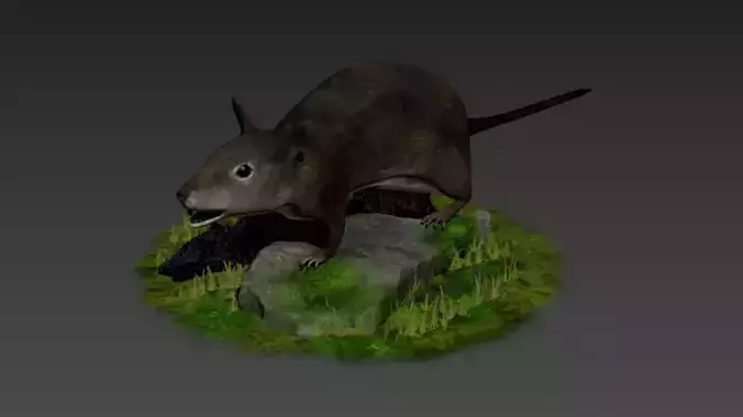 rats rat roddents mammals animal mouse cute pet fur lab 3D model