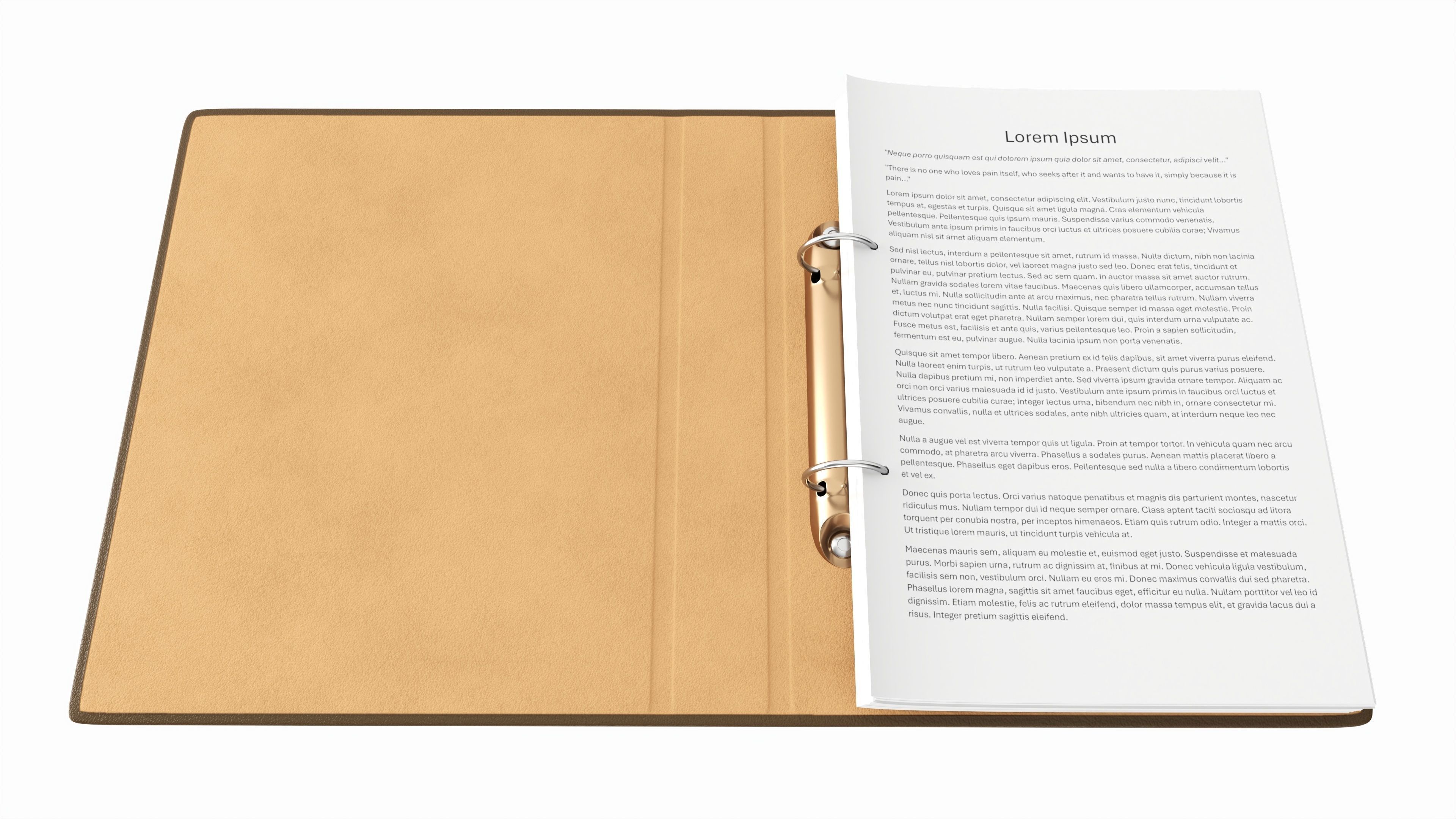 Office document binder mockup 02 open 3D model_2