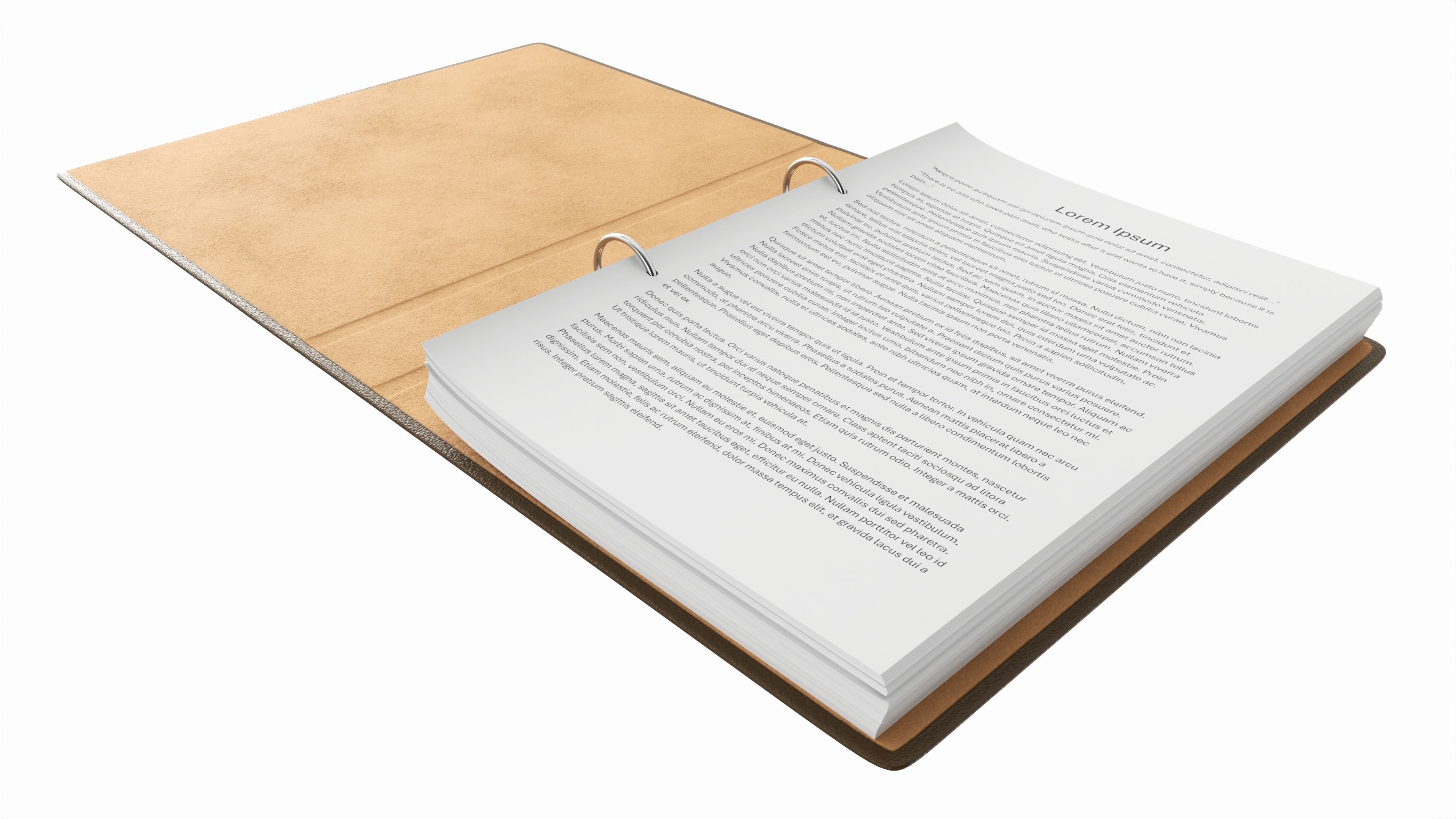 Office document binder mockup 02 open 3D model_1
