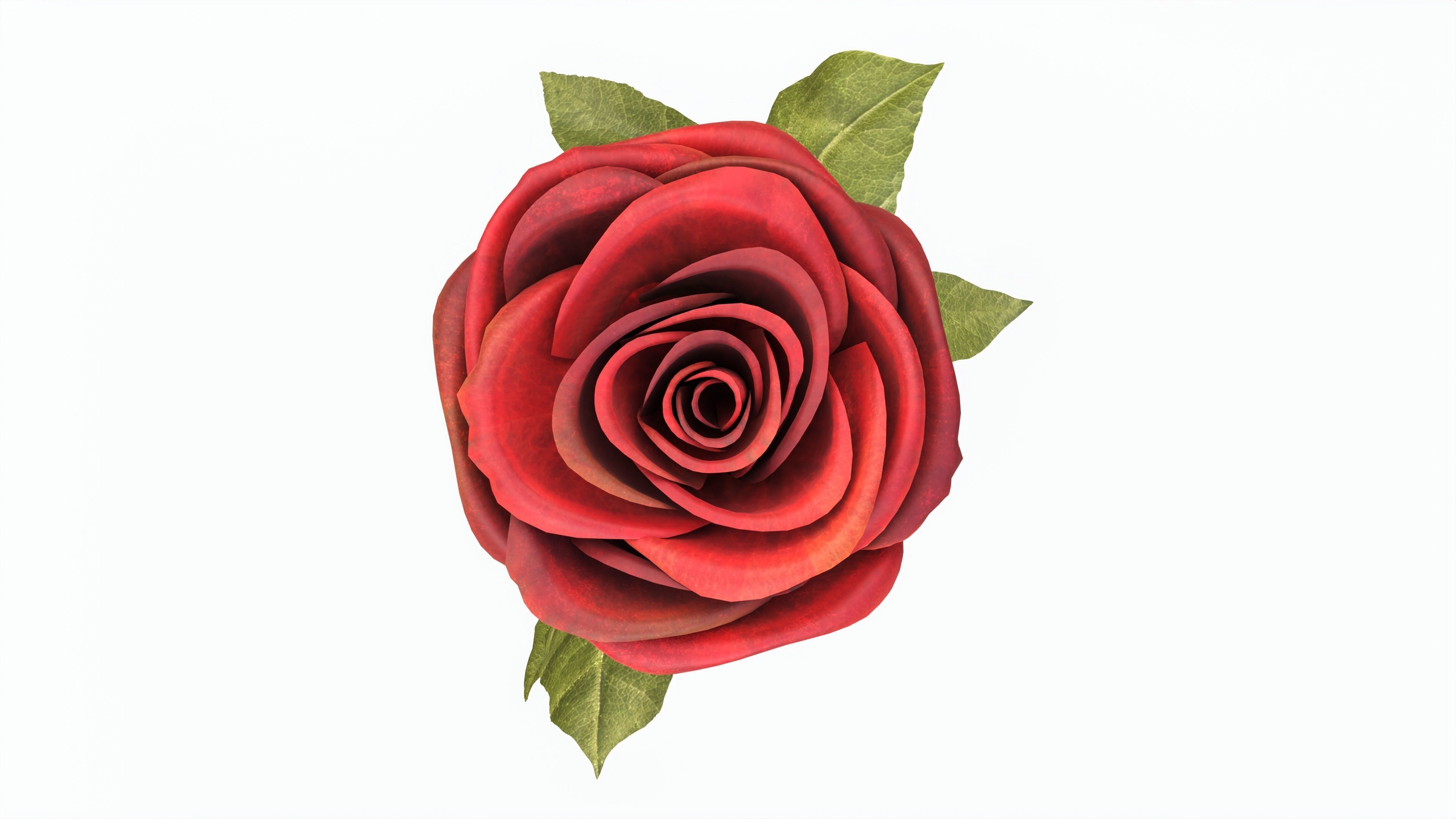 Single Beautiful Red Rose 3D model_5