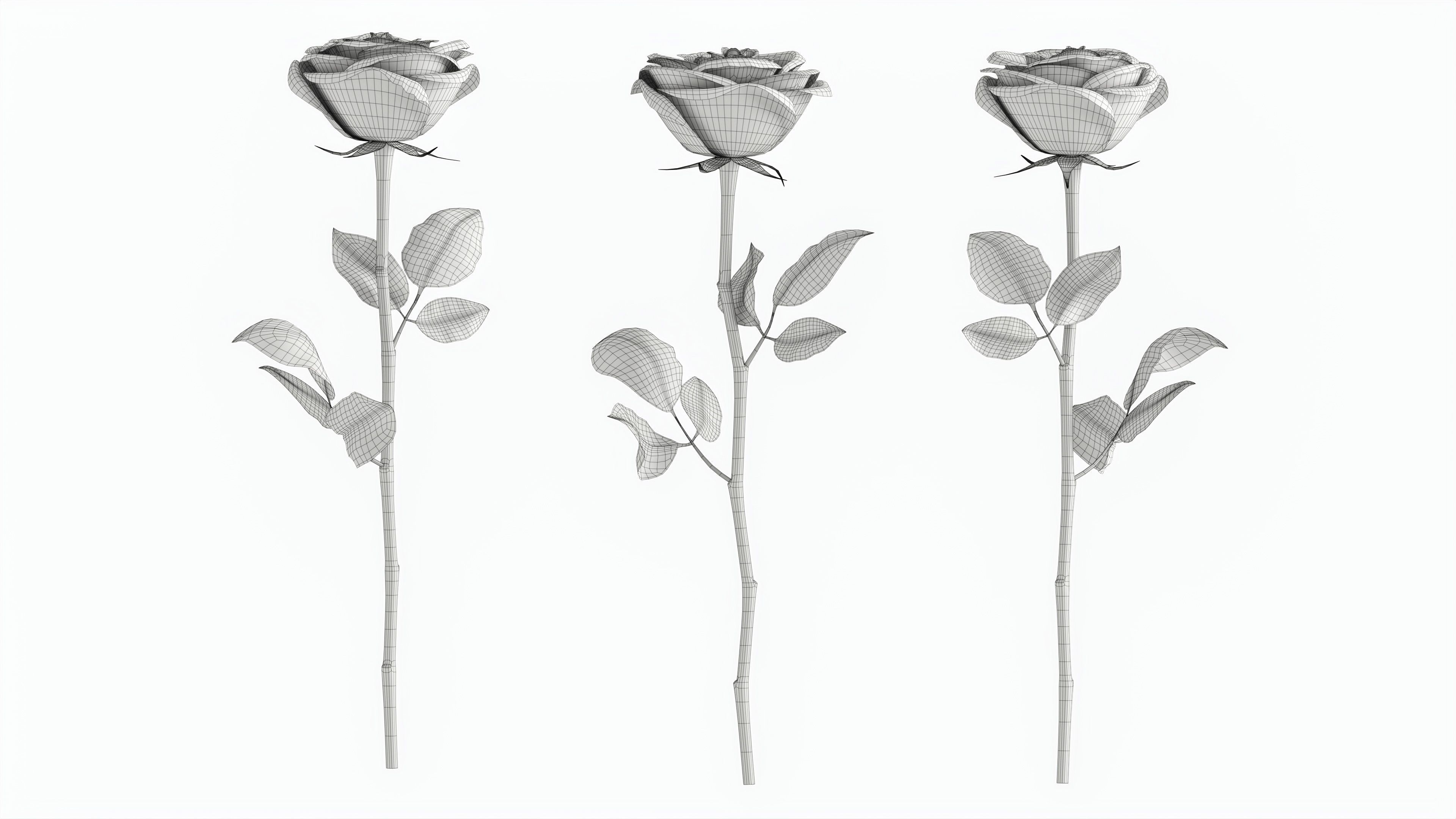 Single Beautiful Red Rose 3D model_6