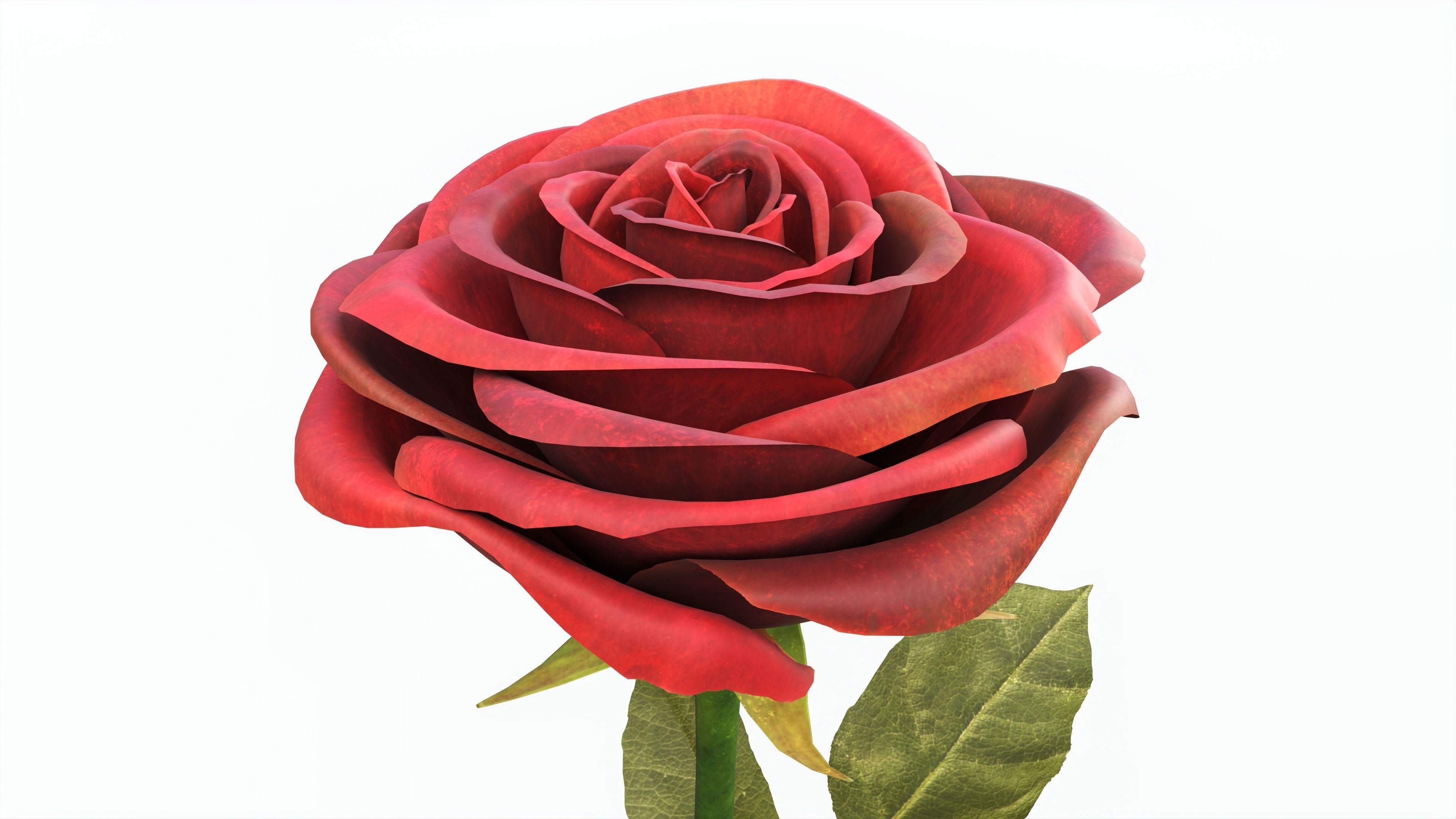 Single Beautiful Red Rose 3D model_1