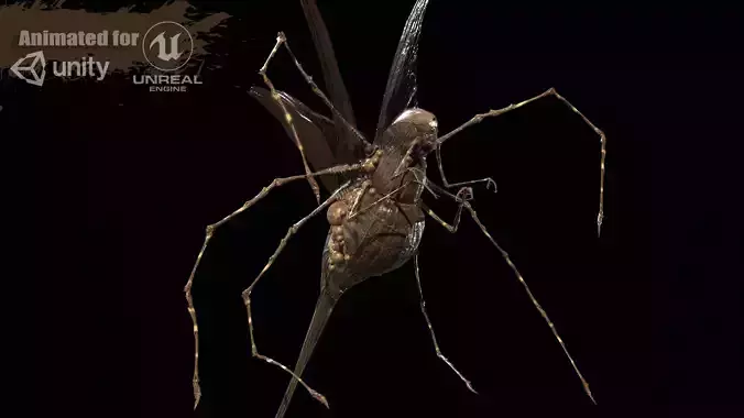 LandBug5 A1 Low-poly 3D model