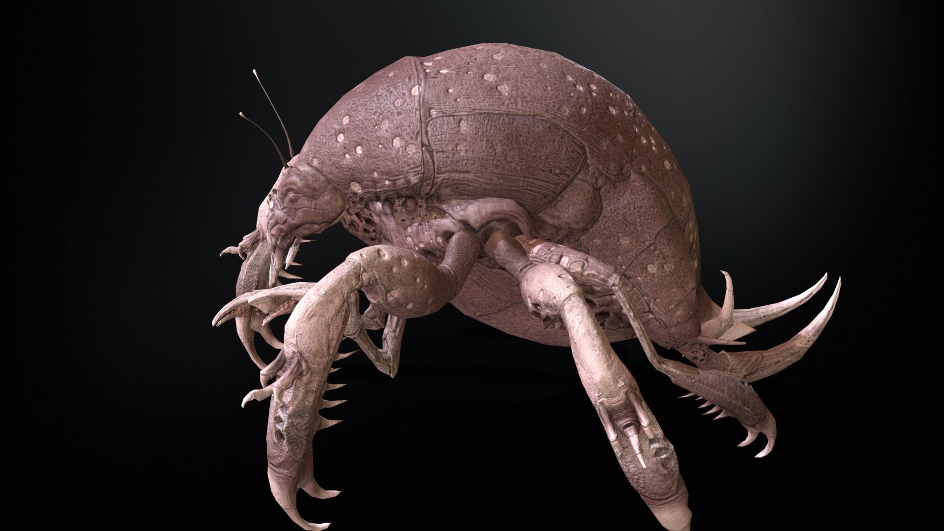 LandBug4 A1 Low-poly 3D model_26