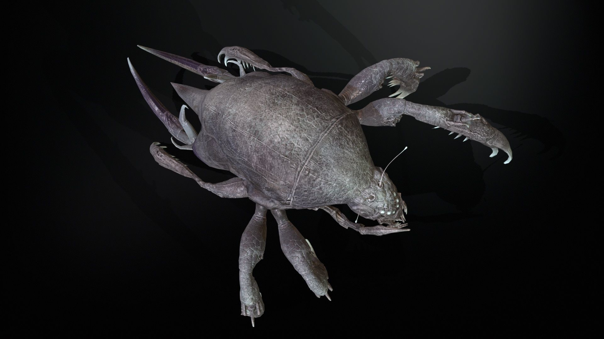 LandBug4 A1 Low-poly 3D model_20