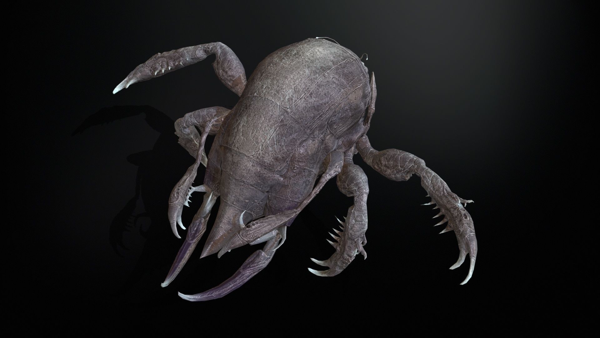 LandBug4 A1 Low-poly 3D model_21