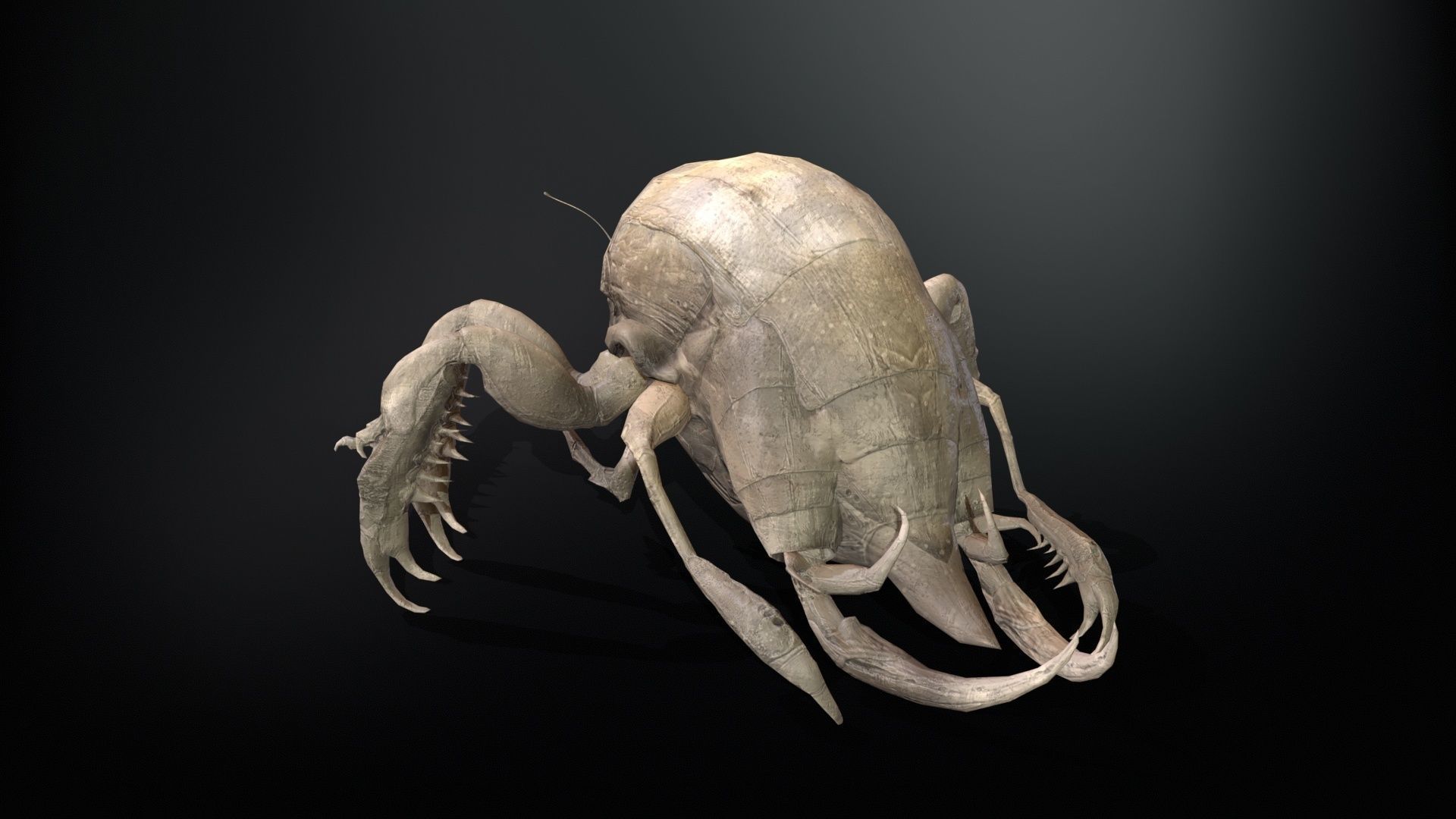 LandBug4 A1 Low-poly 3D model_7