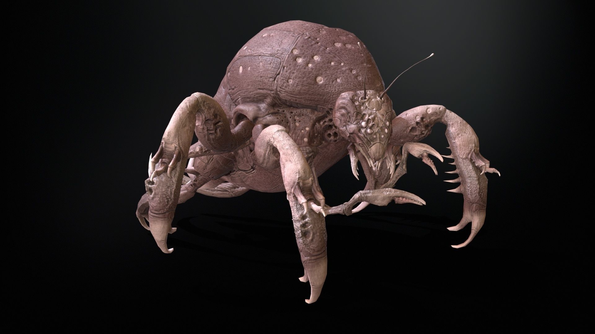 LandBug4 A1 Low-poly 3D model_27