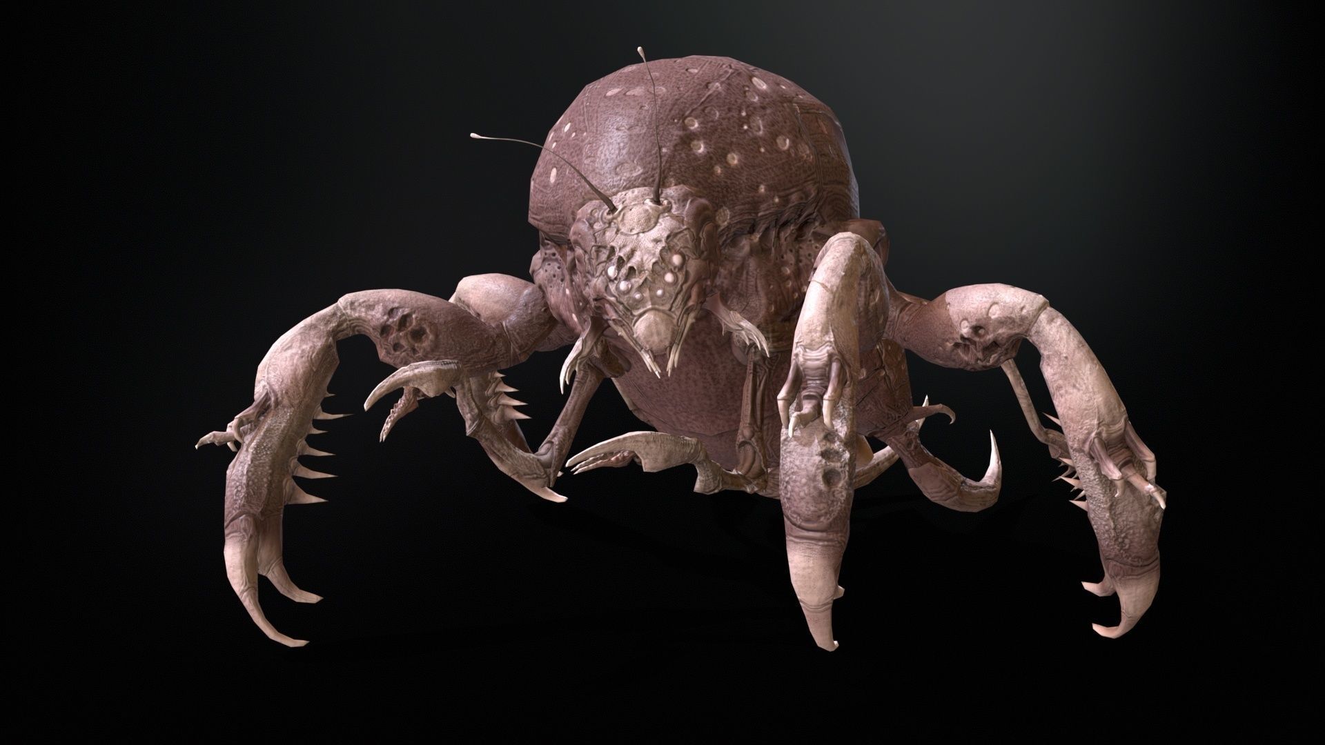 LandBug4 A1 Low-poly 3D model_25