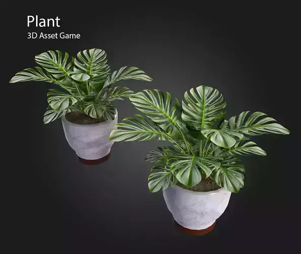 Plant V4