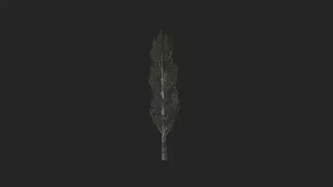 Tree 3D Model 007