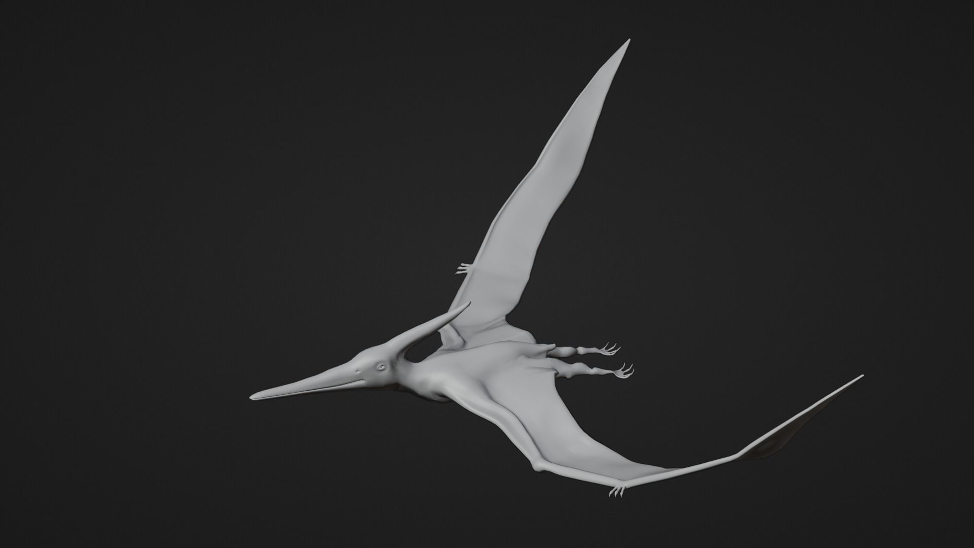 Low poly Realistic Dinosaur - Pteranodon Low-poly 3D model_9